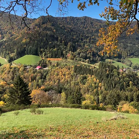 2 Wohnung, Mit Sonnenterasse Lejlighed