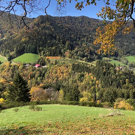 Apartamento Elena Mit Schwimmbad